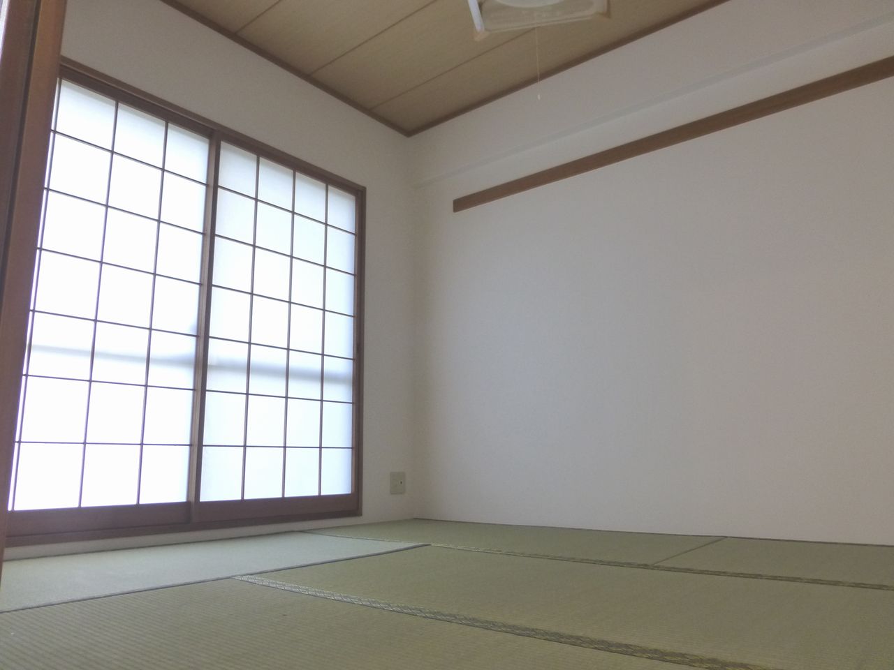 DP和室